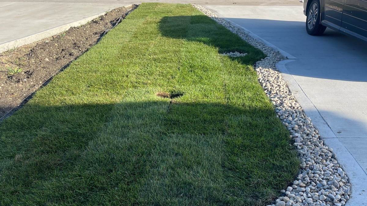 Landscape design